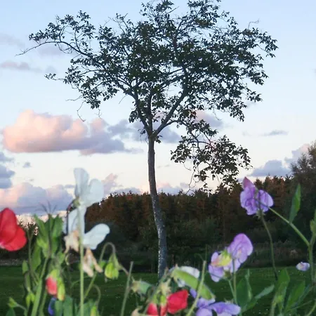 Apartment 1 Bedroom Beautiful In *